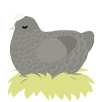 pet rock, a ash chicken with a lace pattern