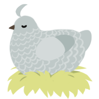 Teacup, a silver chicken with a lace pattern