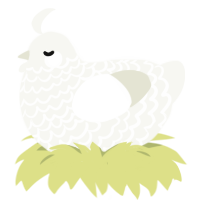 A white chicken with a lace pattern