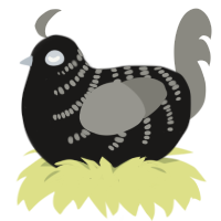 (unnamed), a sable and ash chicken with a half-bar pattern