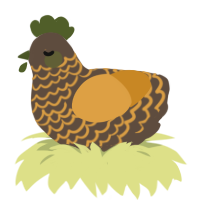 tuna tim, a bark and orange chicken with a lace pattern