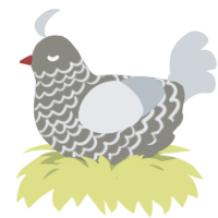 Honk, a ash and mist chicken with a lace pattern