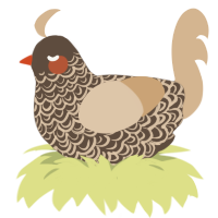 (unnamed), a bark and beige chicken with a double-lace pattern
