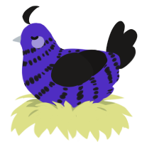 (unnamed), a indigo and sable chicken with a bar pattern