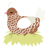 Neapolitan, a brown and white chicken with a lace pattern