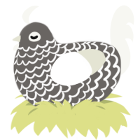 (unnamed), a grey and white chicken with a lace pattern