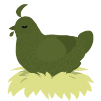 olive xxx, a olive chicken with a double-lace pattern