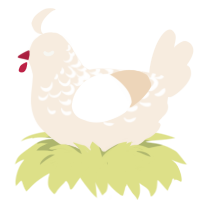 vlixel, a cream chicken with a half-lace pattern