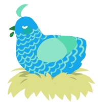 (unnamed), a sky and mint chicken with a lace pattern