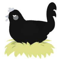 chromium, a black chicken with a double-lace pattern