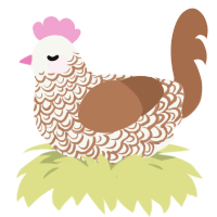Debris, a white and brown chicken with a double-lace pattern