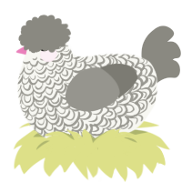 Trainer, a white and ash chicken with a double-lace pattern