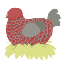 (unnamed), a red and ash chicken with a lace pattern
