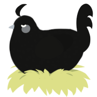 (unnamed), a black chicken with a speckle pattern
