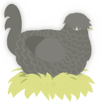 the red gaze, a ash chicken with a lace pattern