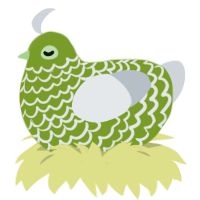 Absinthe - CD, a chartreuse and mist chicken with a lace pattern