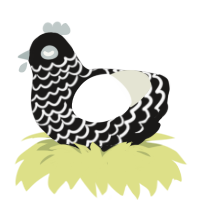 (unnamed), a sable and white chicken with a lace pattern
