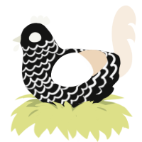 Flowering, a black and cream chicken with a lace pattern