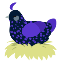 Naomi, a tumblr and indigo chicken with a speckle pattern