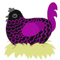 Adrian, a black and plum chicken with a lace pattern