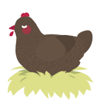 (unnamed), a bark chicken with a double-lace pattern