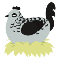 Catoptrophobia, a silver and sable chicken with a half-lace pattern