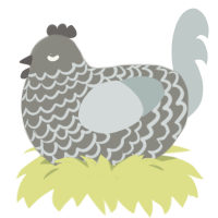 free, a ash and silver chicken with a lace pattern