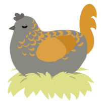 Owl, a ash and orange chicken with a half-lace pattern