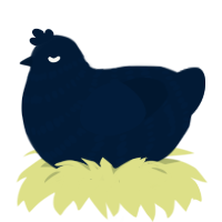 Tumblr Jr, a tumblr chicken with a bar pattern