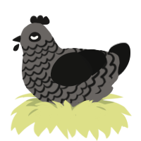 Little Darkness, a grey and black chicken with a lace pattern
