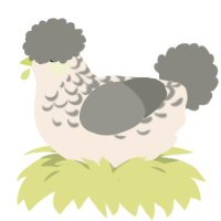 Dust Bunny, a cream and ash chicken with a half-lace pattern