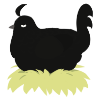 black xxy, a black chicken with a half-lace pattern