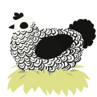 Calligraphy, a white and black chicken with a double-lace pattern