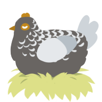 金, a grey and mist chicken with a half-lace pattern
