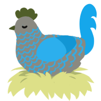 (unnamed), a ash and sky chicken with a lace pattern