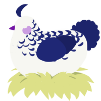Moon, a white and navy chicken with a half-lace pattern