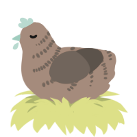 Song Seojun, a brown and bark chicken with a half-bar pattern