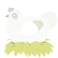 Mochi, a white chicken with a double-lace pattern