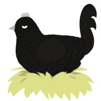 A black and sable chicken with a lace pattern
