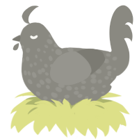 A ash chicken with a speckle pattern