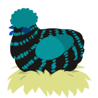 A sable and teal chicken with a bar pattern