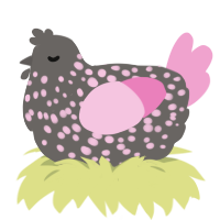 A grey and pink chicken with a speckle pattern