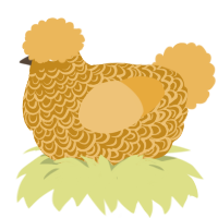 (unnamed), a ochre and honey chicken with a double-lace pattern