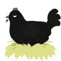 A black and sable chicken with a lace pattern