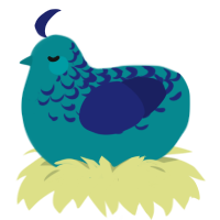 A teal and navy chicken with a half-lace pattern