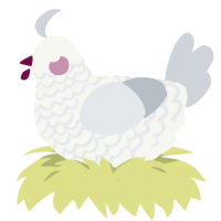 Salt, a white and mist chicken with a lace pattern