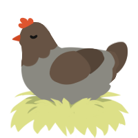 Ascher, a ash and bark chicken with a head pattern