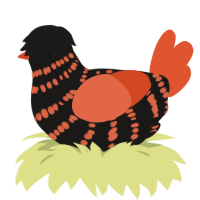 (unnamed), a sable and vermilion chicken with a bar pattern