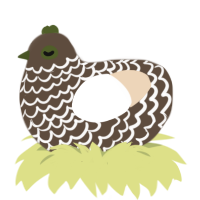 Bourbon, a bark and cream chicken with a lace pattern