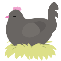 A grey chicken